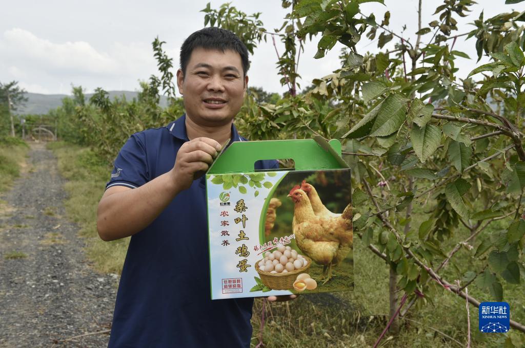 姚记斗地主黄金联赛